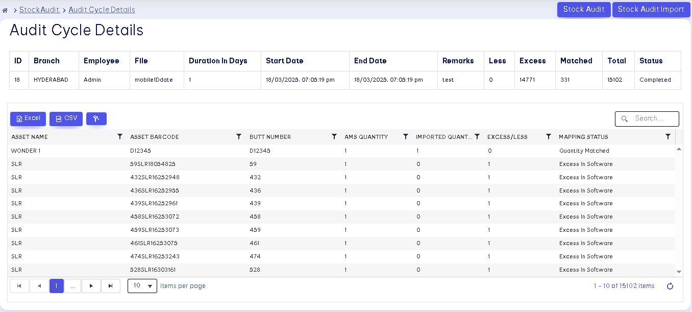 stock audit details